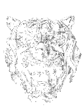 Ueber diesen Jaguar Kopf kommen Sie auf den folgenden Seiten immer zurueck auf die Startseite